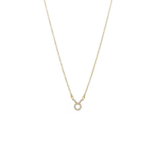 Silk & Steel Taurus Necklace